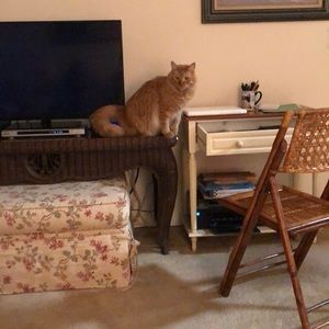 Meet your Posher, Jeanene